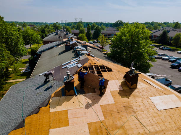 24/7 Emergency Storm Damage Roof Repair experts in Paris, TN
